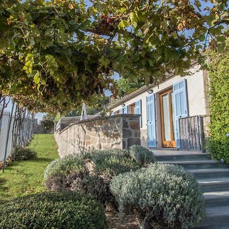 Villa Vigna Camporosso  Kültér fotó